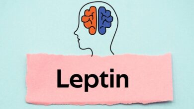 Leptin direnci nedir?