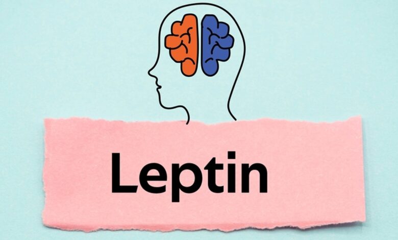 Leptin direnci nedir?