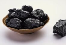 Shilajit Nedir?