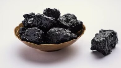 Shilajit Nedir?