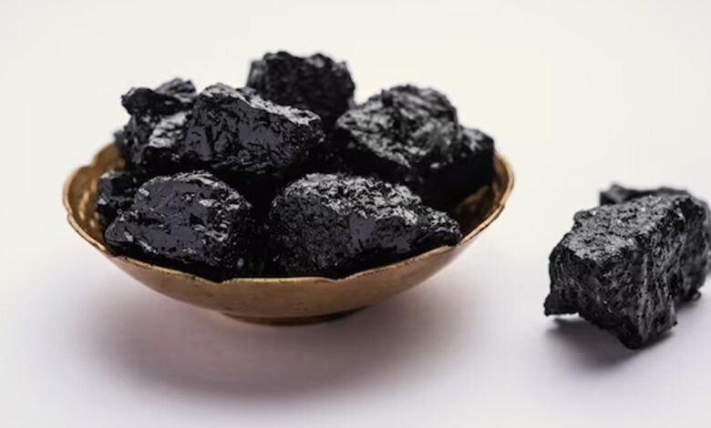 Shilajit Nedir?